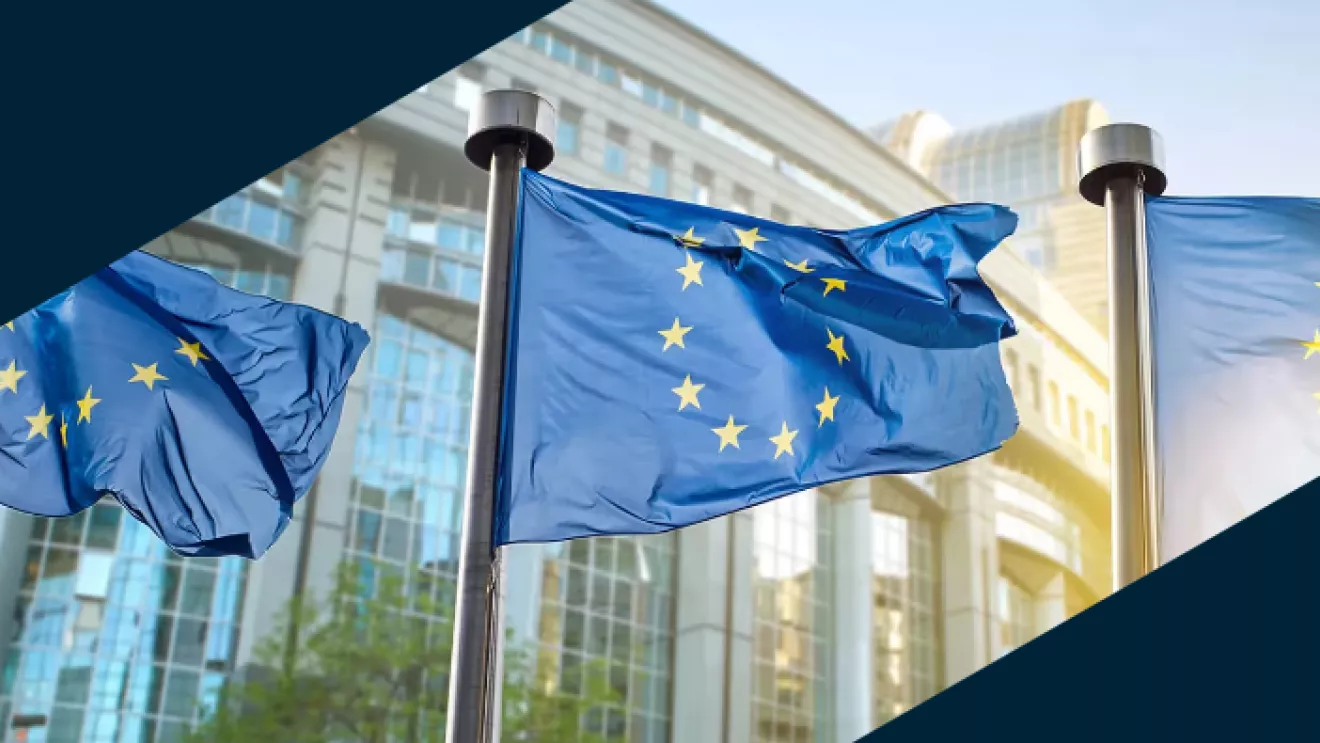 EU flag